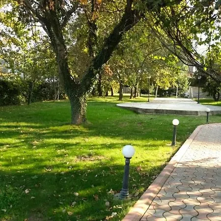 Mohti Fitness Organizasyon كارامورسيل